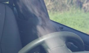 Repaired windshield